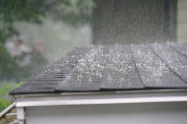 Best Roof Coating and Sealing  in Noroton, CT